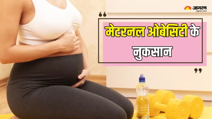 Maternal Obesity के झेलने पड़ सकते हैं गंभीर परिणाम (Picture Courtesy: Freepik)