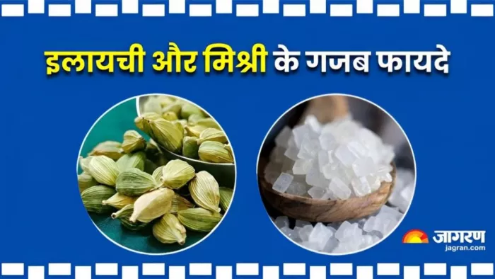 गर्मियों में इन दो चीजों को खाने से मिलेंगे गजब के फायदे (Picture Courtesy: Freepik)