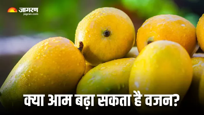 आम खाने से वजन बढ़ता है या नहीं, न्यूट्रिशनिस्ट ने दूर किया कन्फ्यूजन (Image Source: Freepik)