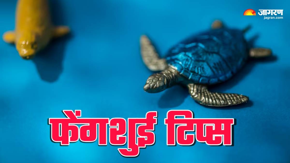 https://www.jagranimages.com/images/newimg/17062025/17_06_2025-feng_shui_tips_3_23966317.jpg