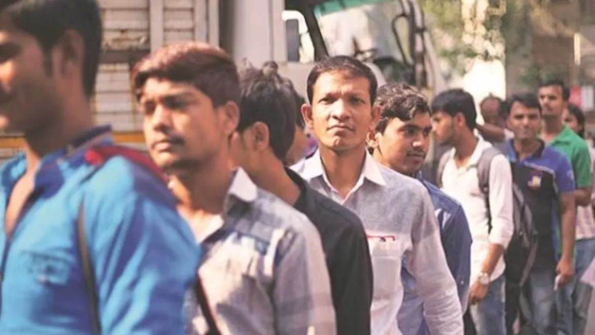 ncr prime minister national apprenticeship fair held in sonipat