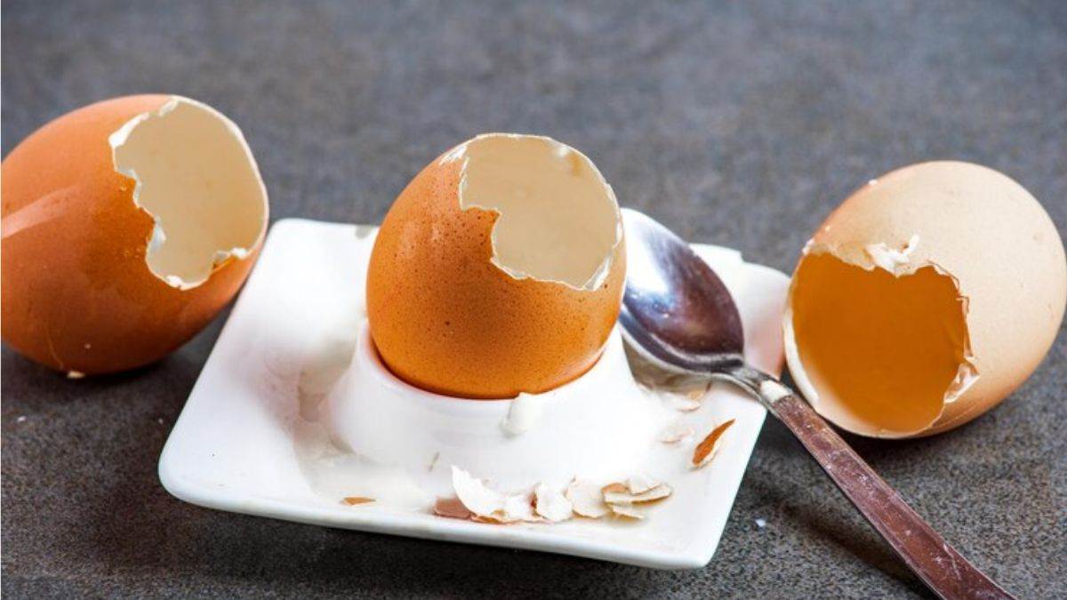 you can know whether the egg is fresh or bad without breaking it know 3 easy tips to test it