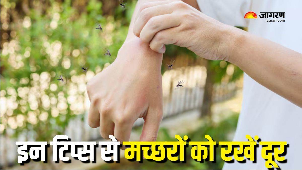 https://www.jagranimages.com/images/newimg/17062025/17_06_2025-tips_to_keep_mosquitoes_away_23966312.jpg
