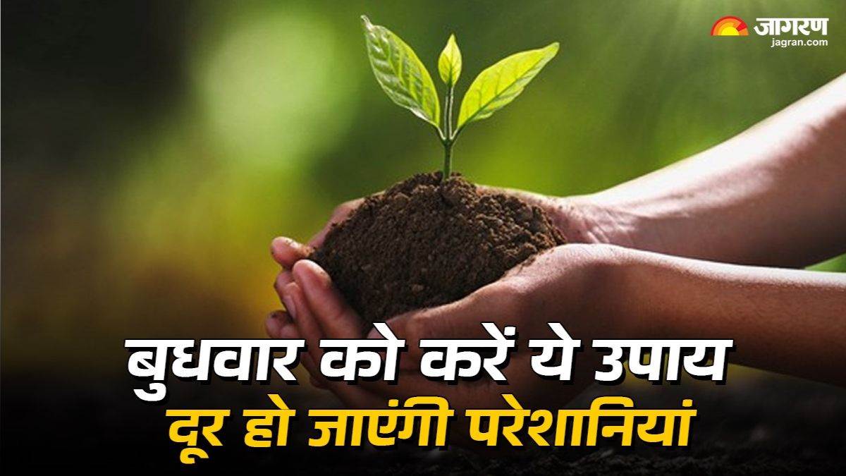 facing difficulty in decision making or business losses try these remedies on wednesday