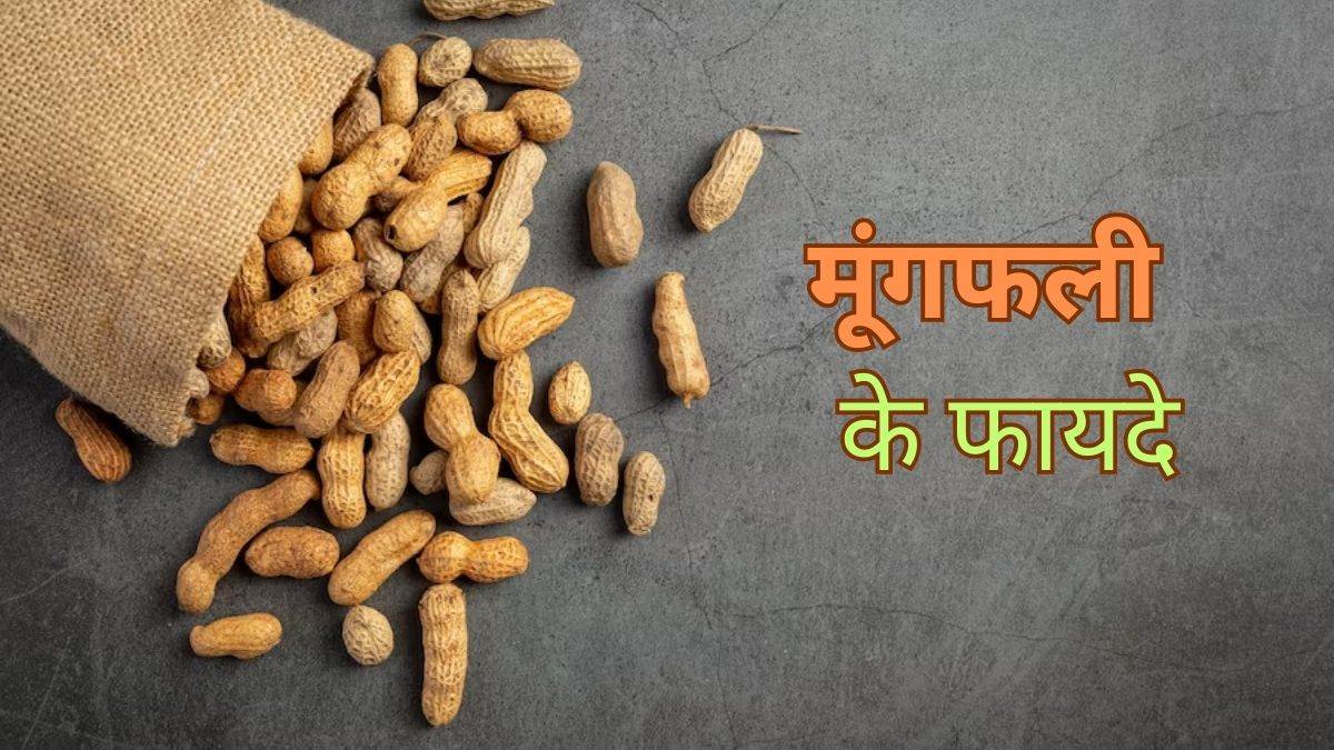 Peanuts Benefits वजन कम करने से लेकर याददाश्त बढ़ाने तक, जानें मूंगफली