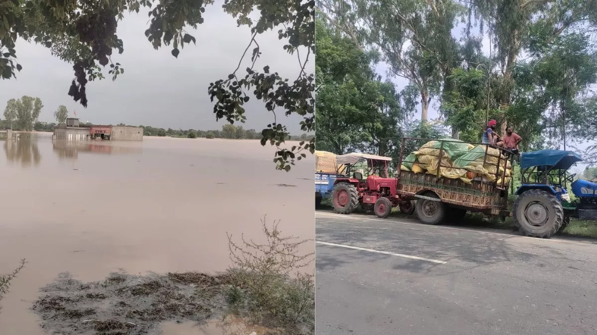 Punjab Flood: चांदपुरा बांध के बाद अब सरदूलगढ़ में घग्गर दरिया में पड़ी दरार, गांव छोड़ने को मजबूर ग्रामीण