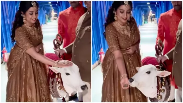 श्रेया घोषाल ने शेयर किया क्यूट वीडियो