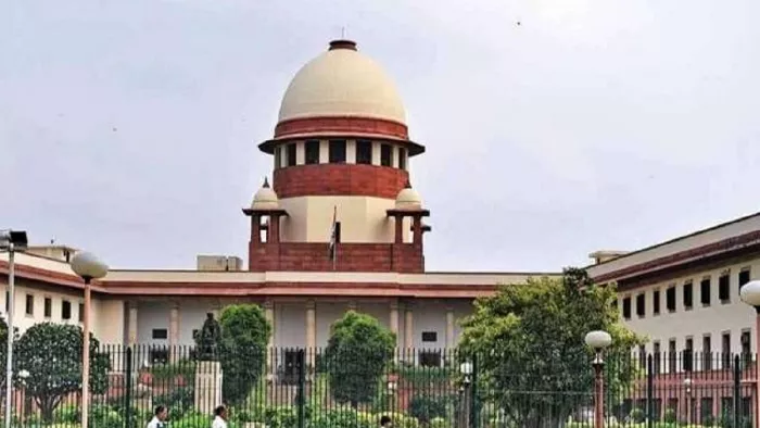 सुप्रीम कोर्ट ने दिल्ली सरकार से पेड़ काटने की अनुमति देने को स्वीकार करने को कहा।