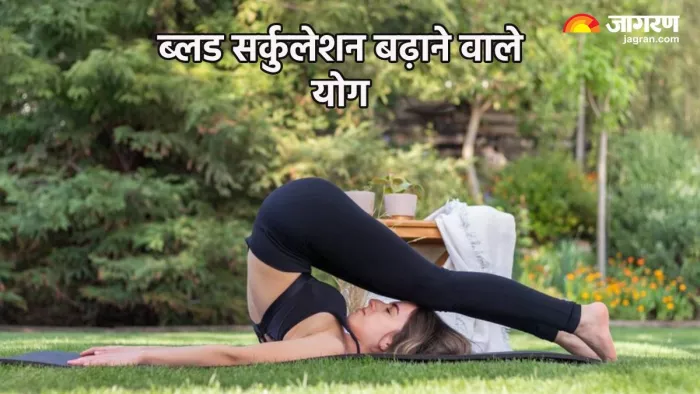 ब्लड सर्कुलेशन बढ़ाने वाले योग (Pic credit- freepik)