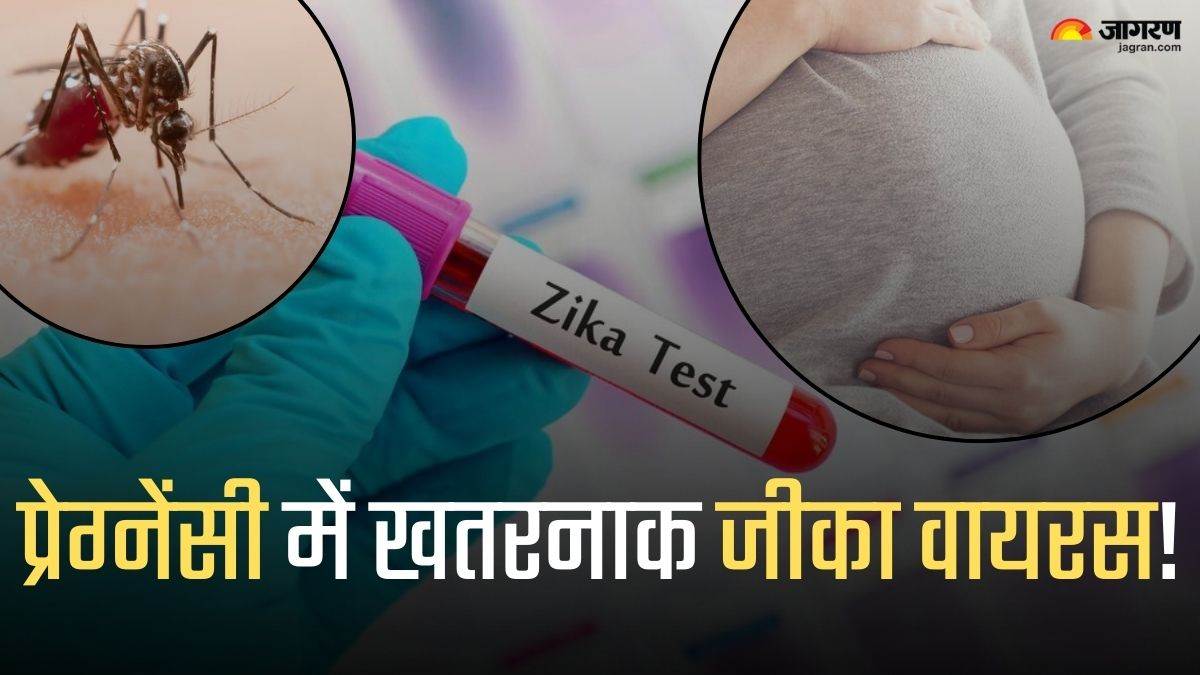 https://www.jagranimages.com/images/newimg/17072024/17_07_2024-zika_virus_3_23760299.jpg