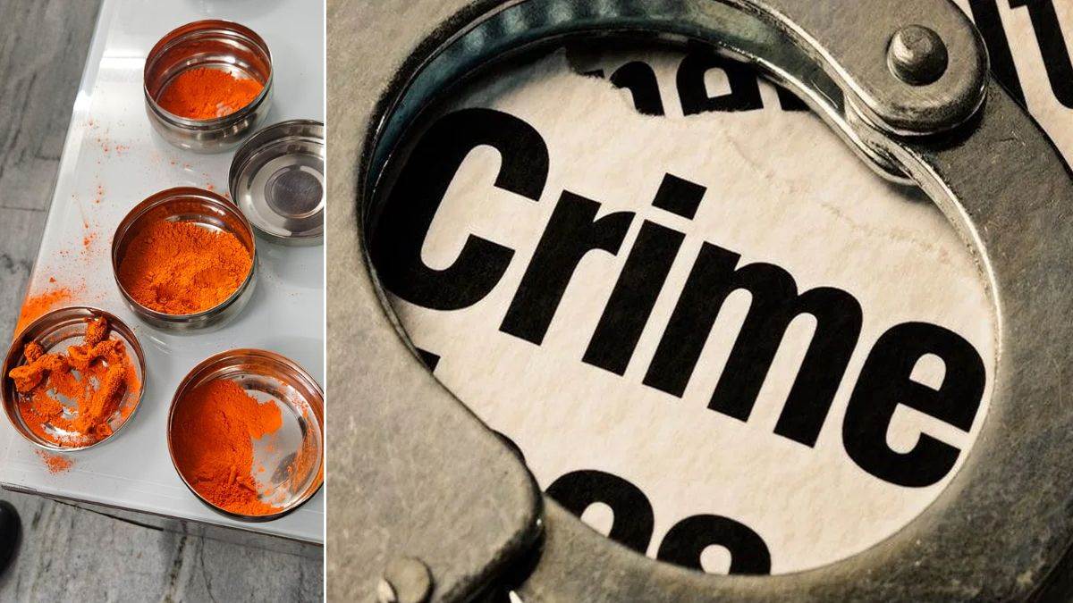 ncr faridabad wildlife smuggling busted animal body parts seized gurugram news today