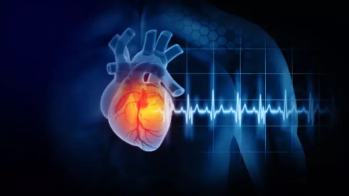 क्या हैं Arrhythmia के लक्षण? (Image Credit- Freepik)
