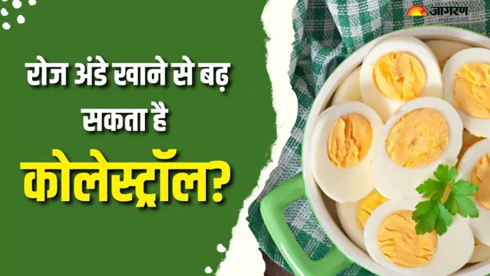 अंडे खाने से भी बढ़ता है कोलेस्ट्रॉल? (Picture Courtesy: Freepik)