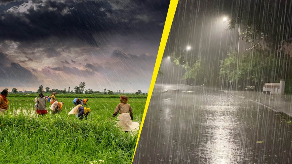 https://www.jagranimages.com/images/newimg/17072025/17_07_2025-farmer_rain_23986335.jpg