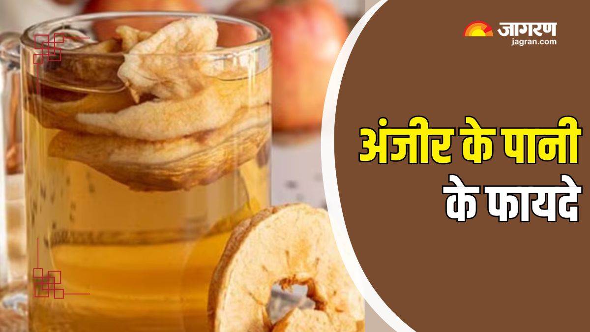 https://www.jagranimages.com/images/newimg/17072025/17_07_2025-fig_water_benefits_23986470.jpg