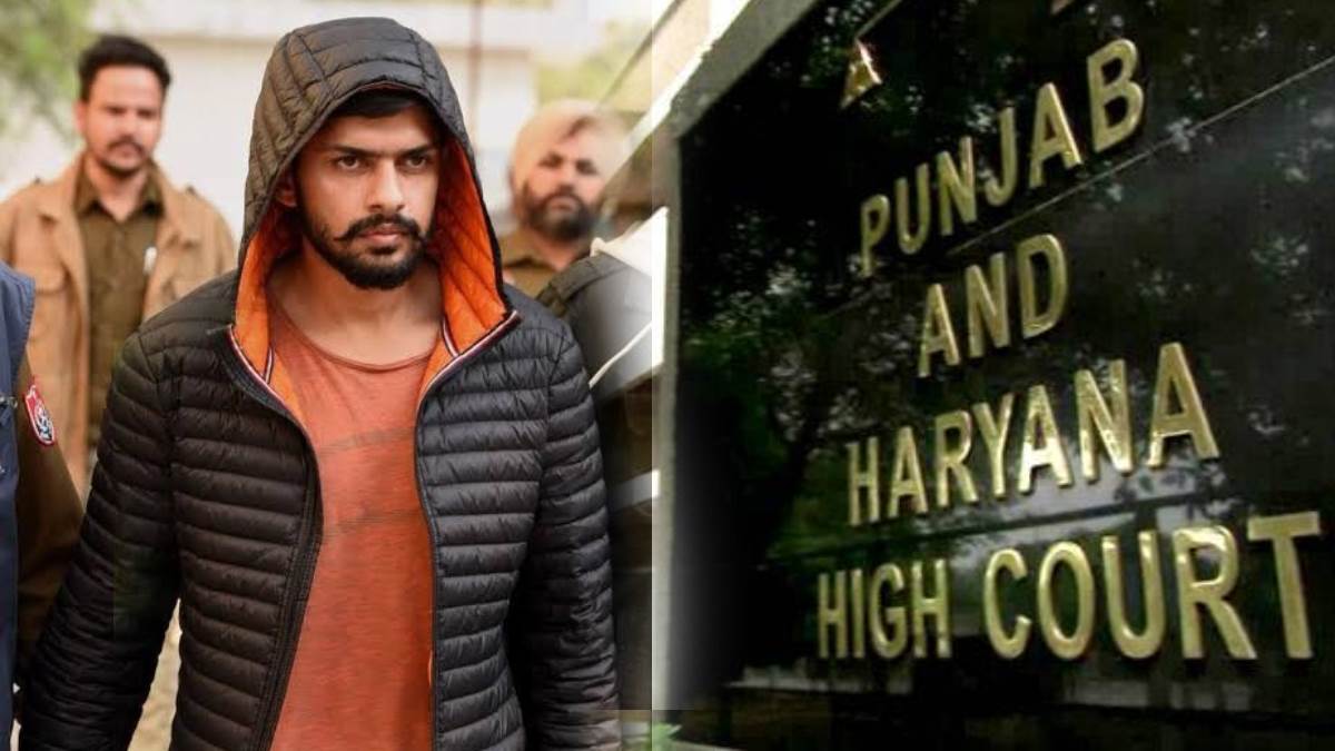 will cbi investigate lawrence bishnoi interview case high court warns sit gives instructions to dgp