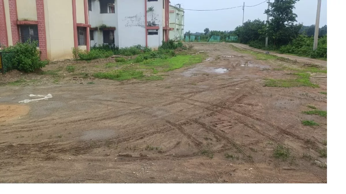 ऐसे होती है सरकारी राशि की बर्बादी, तीन लाख खर्च कर लगवाए पौधों पर बीडीओ ने डलवा दी मिट्टी