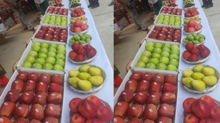 सरकार जल्द ही यह योजना लागू करेगी।