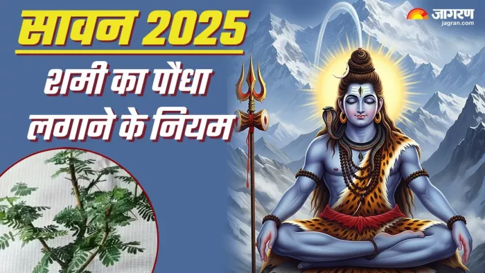 Sawan 2025 सावन में शमी का पौधा के लाभ