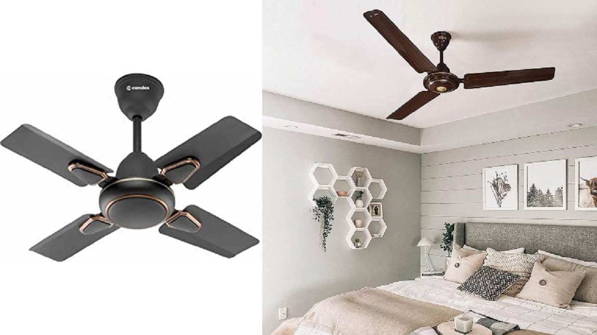 Ceiling Fans: कम कीमत में भी ज्यादा स्पीड, आखिर और क्या चाहते हैं एक पंखे में?