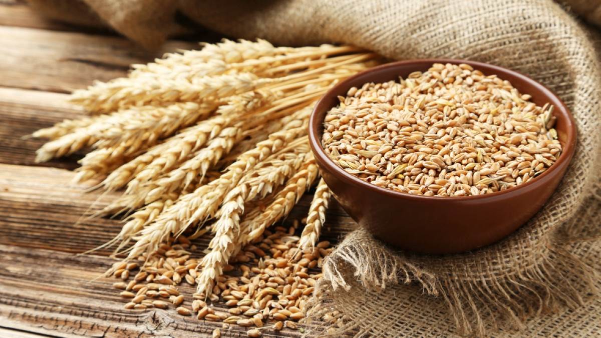 Food Grain Production 202122 में हुआ खाद्यान्न का रिकॉर्ड उत्पादन