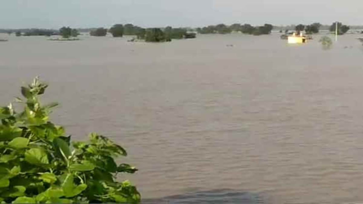 Odisha Flood: ओडिशा में बाढ़ के कारण 10 जिलों के 237 गांव पानी में डूब चुके हैं