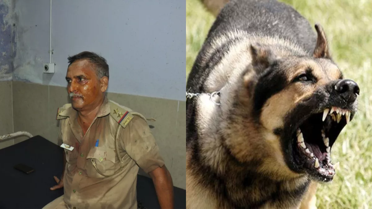 Bihar Crime: उत्तर प्रदेश के दारोगा को पटना में पीटा, सिर फोड़ा; जर्मन शेफर्ड कुत्ते से भी नोंचवाया