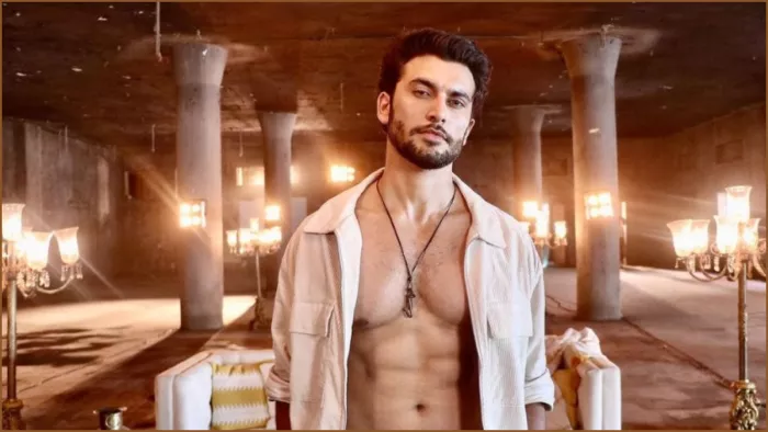 The Freelancer Web Series Navneet malik will play negative role.