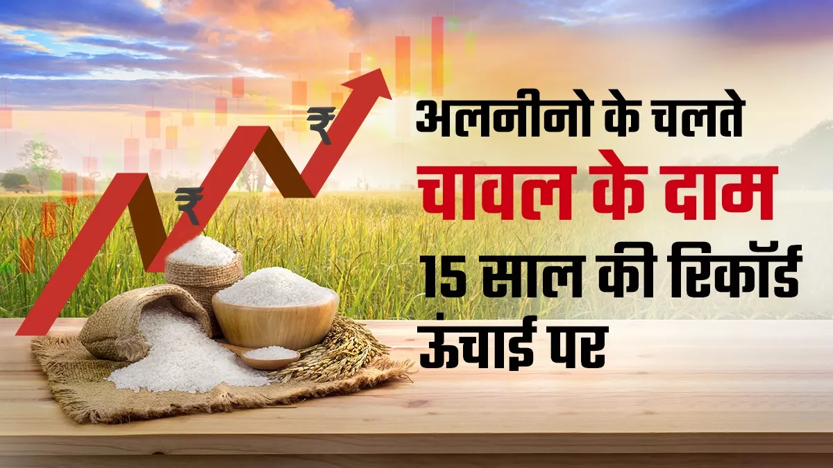 ज्यादा बुआई और बेहतर बारिश से भारत में चावल की पैदावार अच्छी रहने के आसार, पर दाम घटने में लगेगा समय