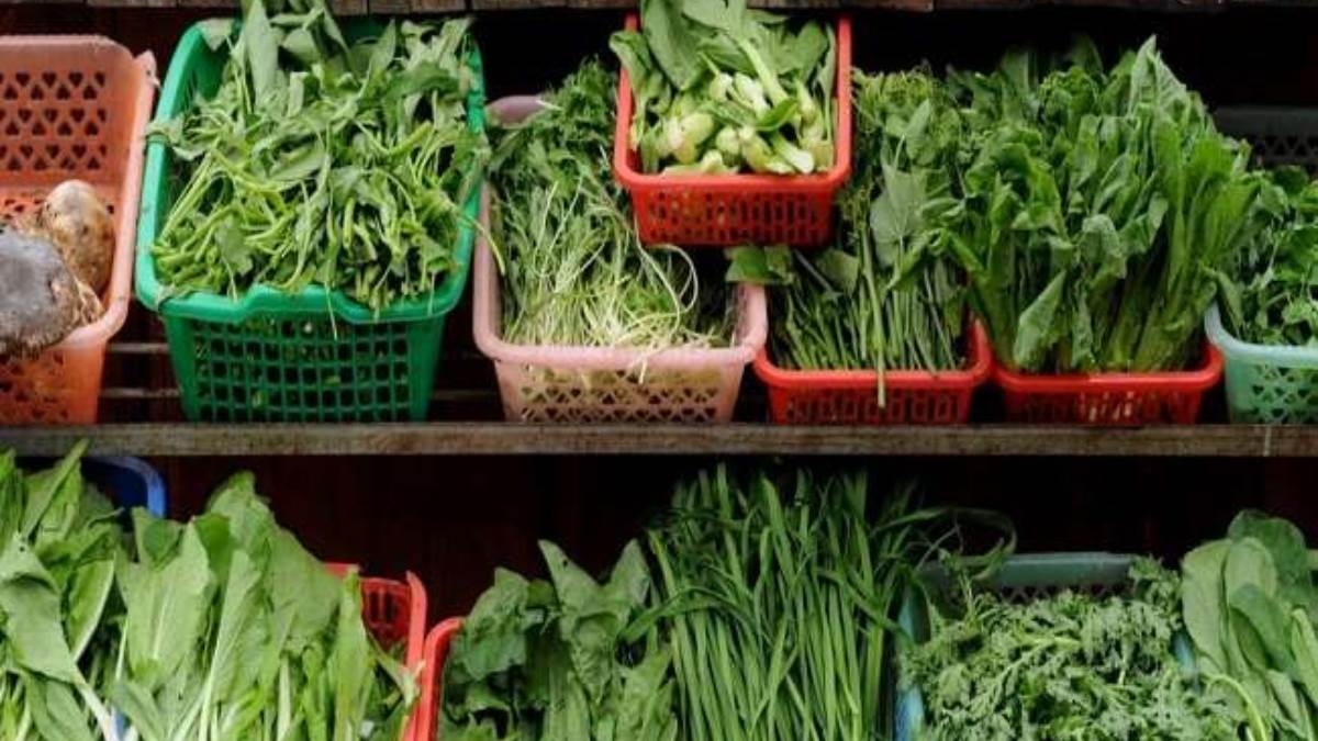 https://www.jagranimages.com/images/newimg/17082024/17_08_2024-green_veg_23779913.jpg