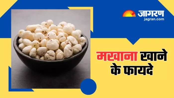 सिर्फ व्रत में ही नहीं, बल्कि रोज खाएं मखाने (Picture Courtesy: Freepik)