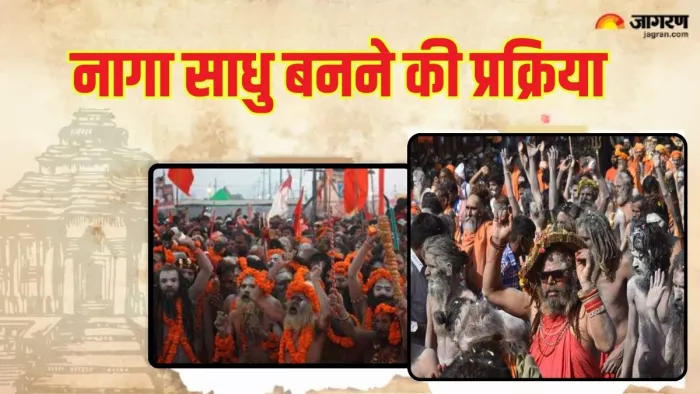 Naga Sadhu: अधिक संख्या में नागा साधु पुरुष ही होते हैं