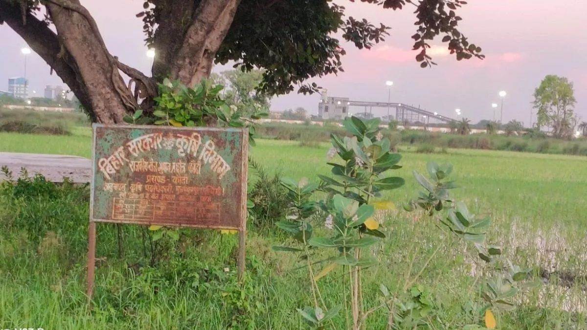 https://www.jagranimages.com/images/newimg/17082025/17_08_2025-agriculture_deparment_land_muzaffarpur_24015863_161246271.jpg