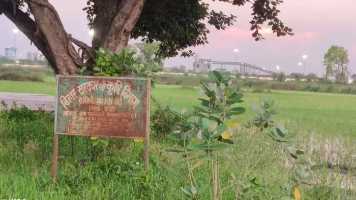 इस खबर में प्रतीकात्मक तस्वीर लगाई गई है।