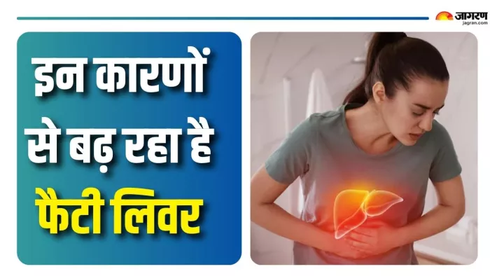 क्यों बढ़ जाता है फैटी लिवर का खतरा? (Picture Courtesy: FreepiK)