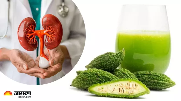 क्या रोजाना करेले का जूस पीने से किडनी को होता है फायदा? (Image Source: Freepik)
