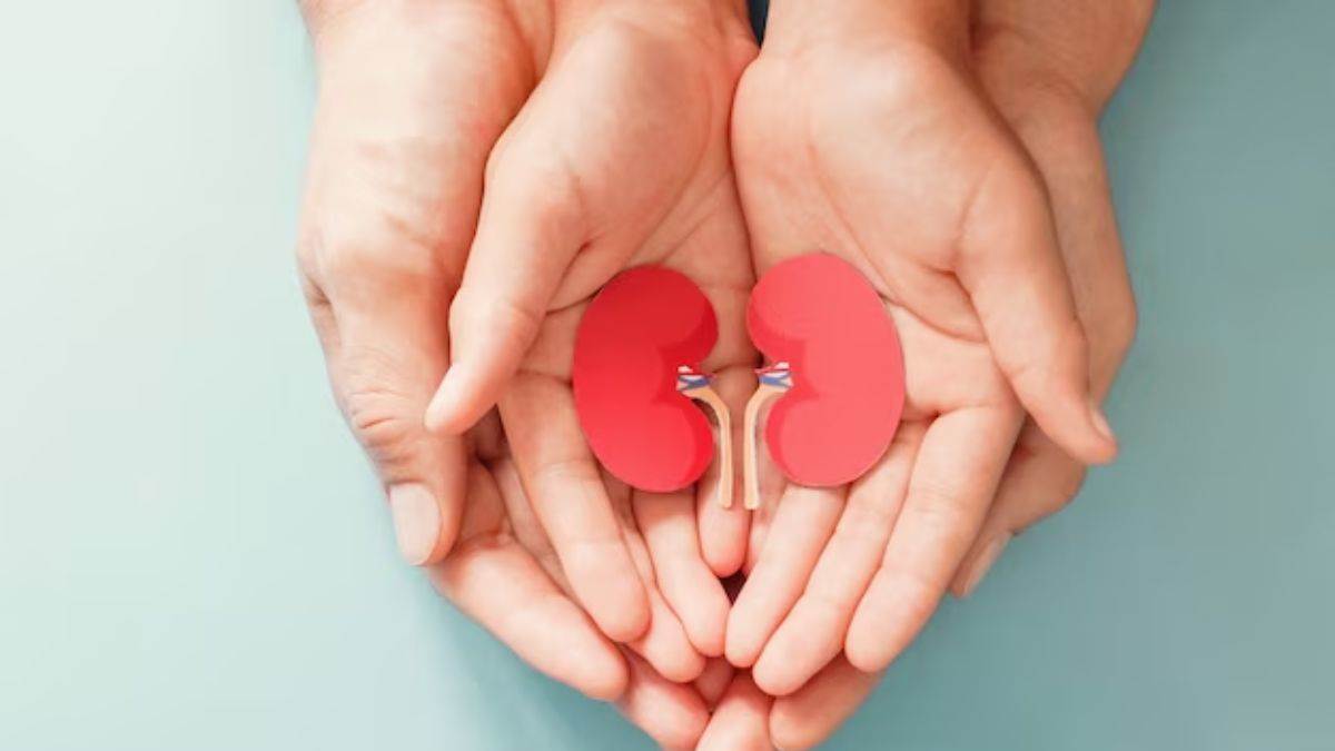https://www.jagranimages.com/images/newimg/17082025/17_08_2025-kidney_care_in_diabetes_24015440.jpg