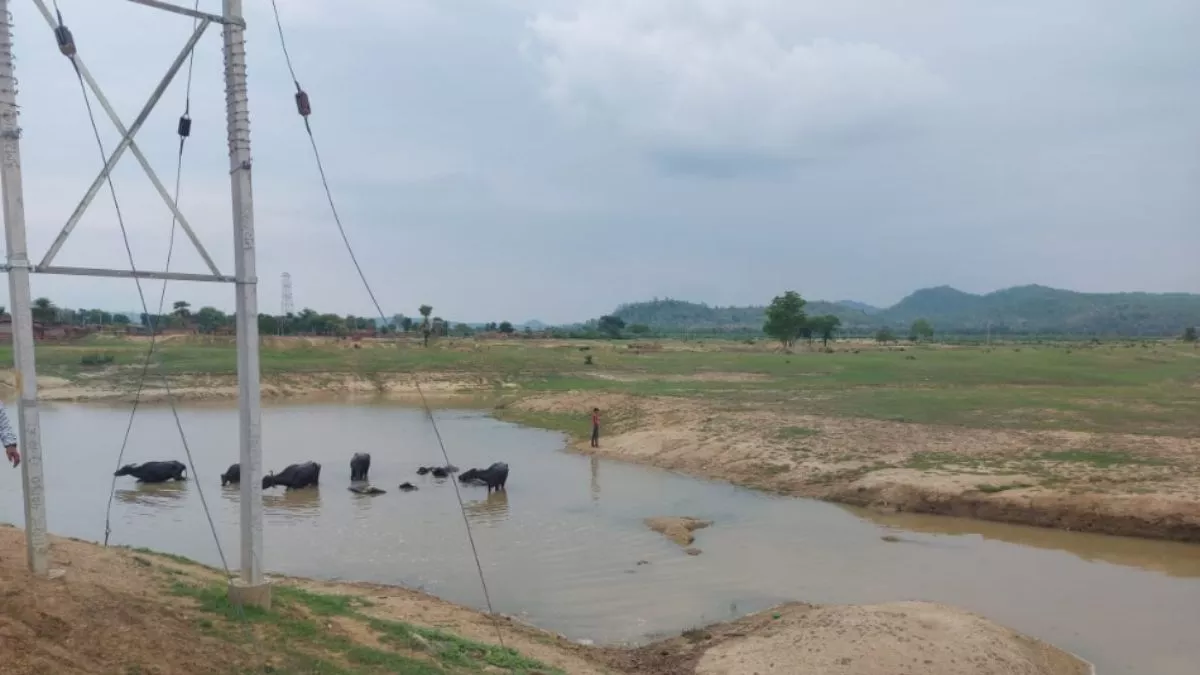 Success Story: जलवायु परिवर्तन से जंग लड़कर आगे निकला नकटैया, नाबार्ड की पहल से बदल रही तस्वीर