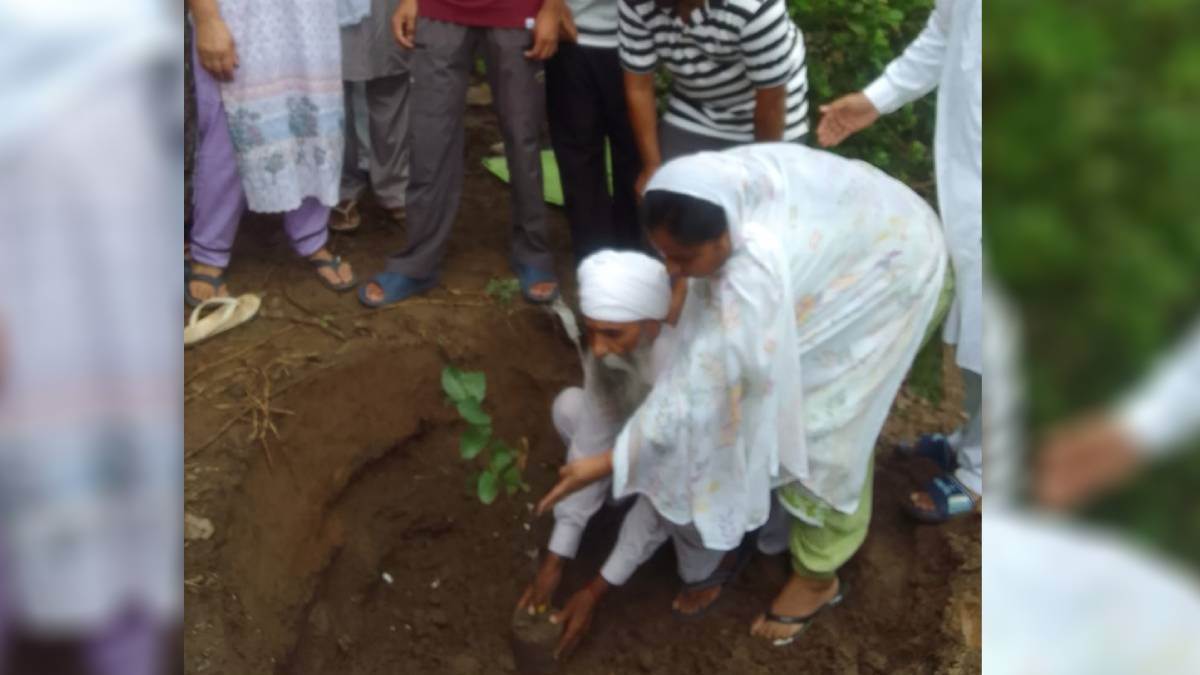 https://www.jagranimages.com/images/newimg/17082025/17_08_2025-plant_24015831.jpg