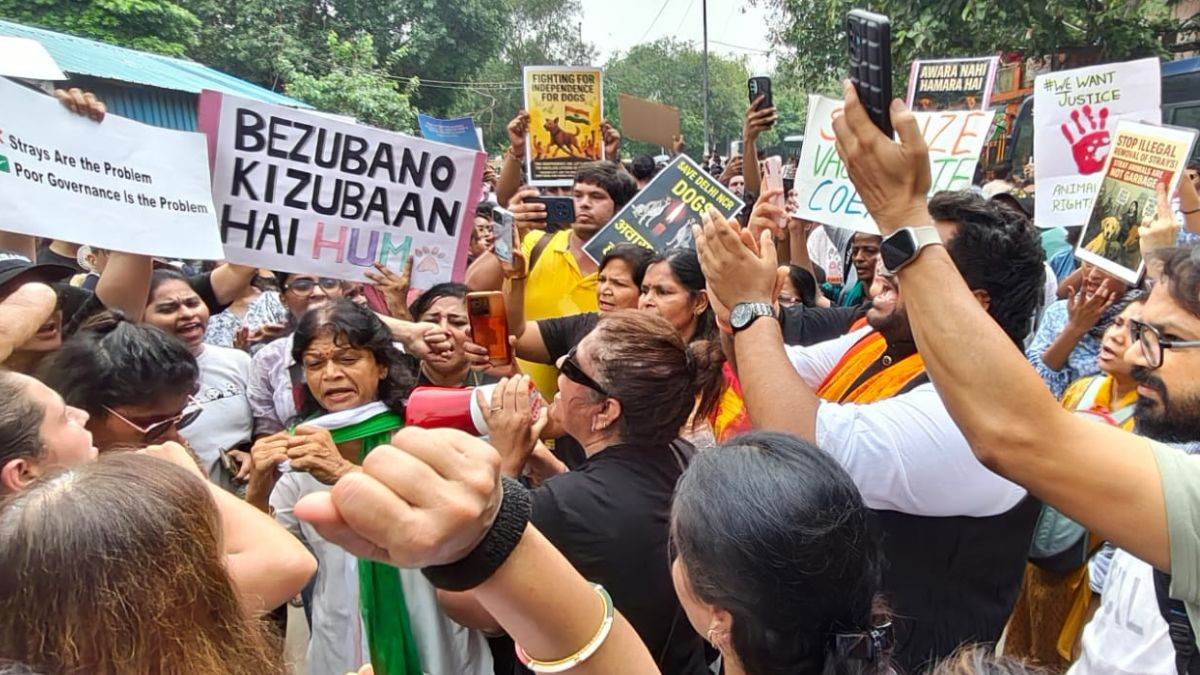 https://www.jagranimages.com/images/newimg/17082025/17_08_2025-stray-dog-protest_24015723.jpg