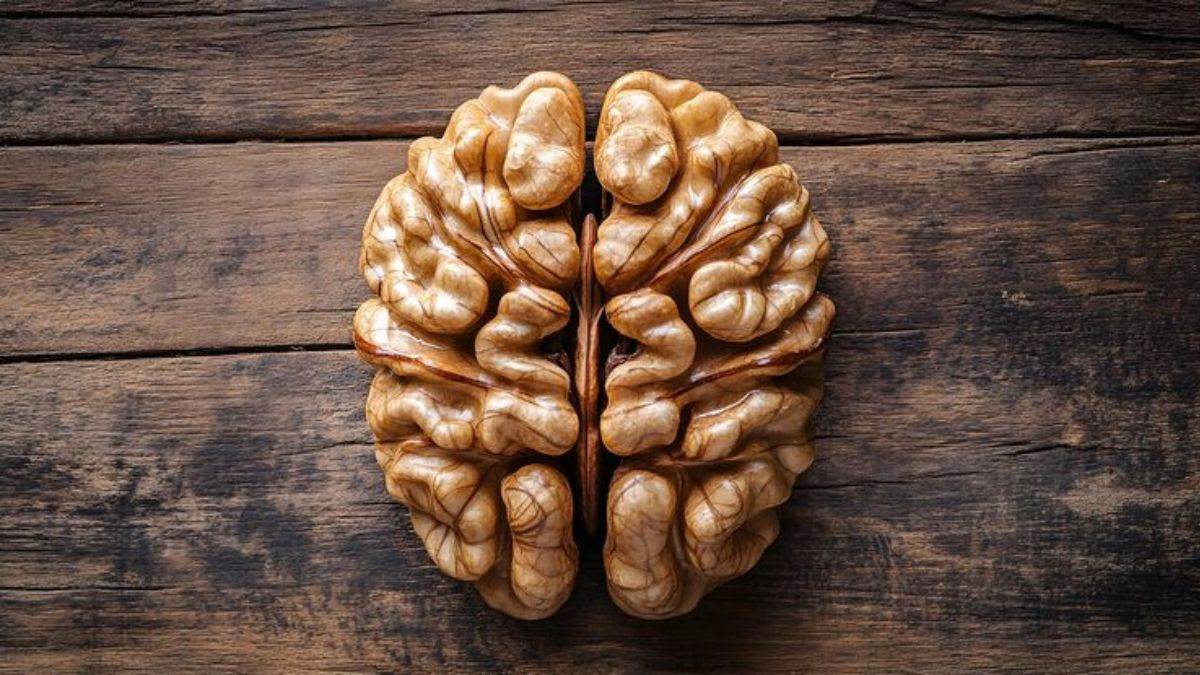 https://www.jagranimages.com/images/newimg/17082025/17_08_2025-walnuts_for_brain_health_24015517.jpg