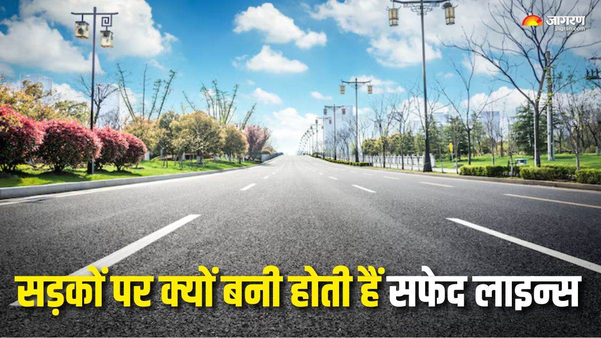https://www.jagranimages.com/images/newimg/17082025/17_08_2025-white_lines_on_road_24015575.jpg
