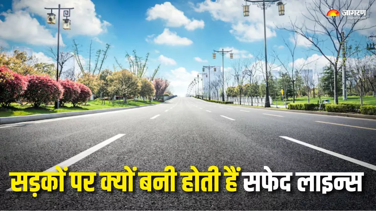 क्या आप जानते हैं सड़कों पर क्यों बनी होती है सफेद लाइन्स? यहां पढ़ें क्या है इसका मतलब