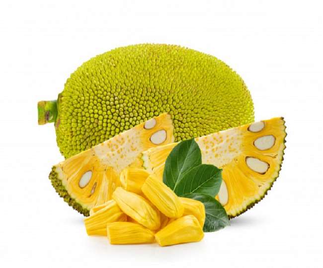 Diabetes Diet Jackfruit Is Very Beneficial For Diabetic Patients