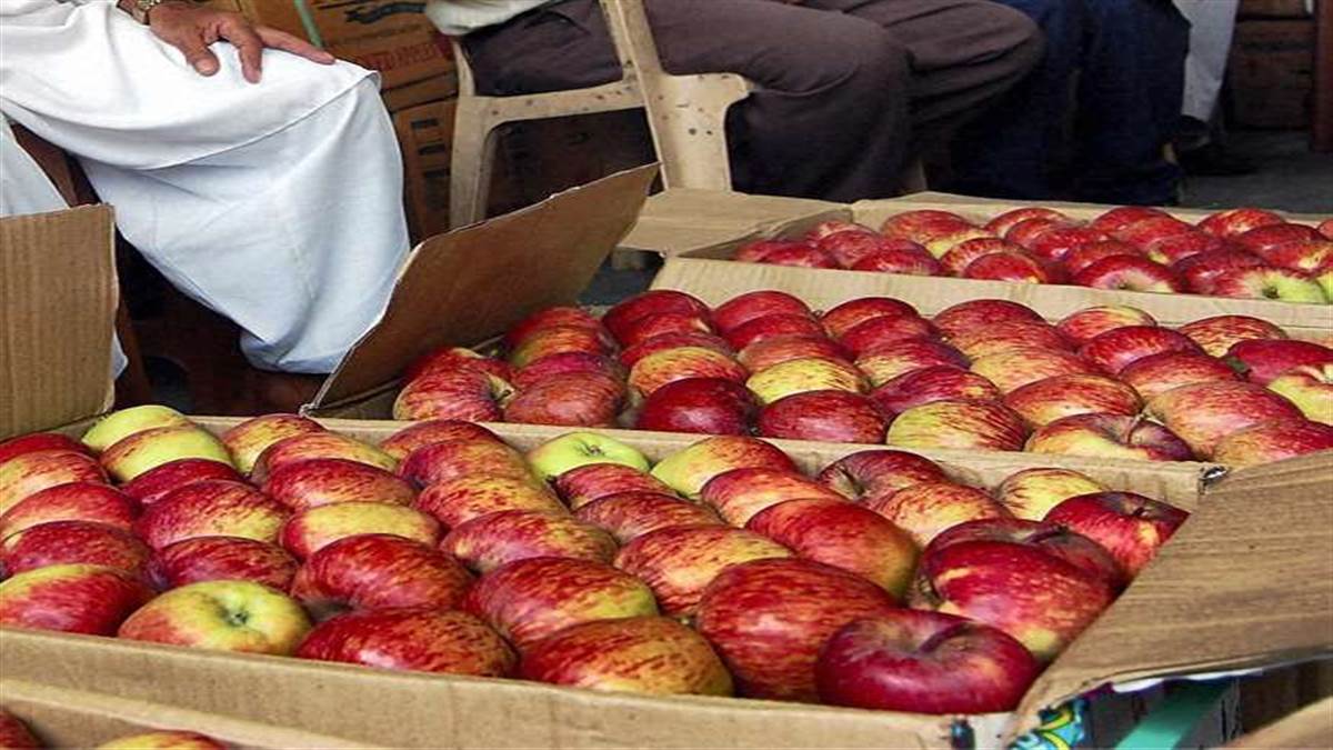 हिमाचल प्रदेश में सेब बागवानों से धोखाधड़ी मामले में सीआइडी ने करवाई 15