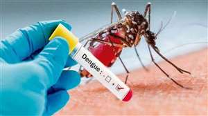 डेंगू मरीजों को प्लेटलेट्स उपलब्ध करवाने के लिए संस्थाएं भी आगे आ रही हैं।
