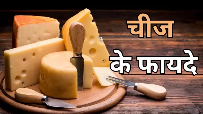 आप भी हैं चीज के शौकीन, तो जानें इसके फायदे