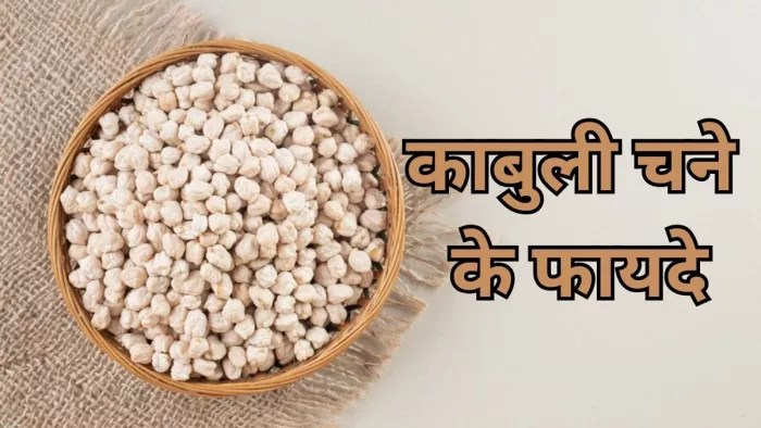 सेहत के लिए बेहद फायदेमंद है काबुली चने