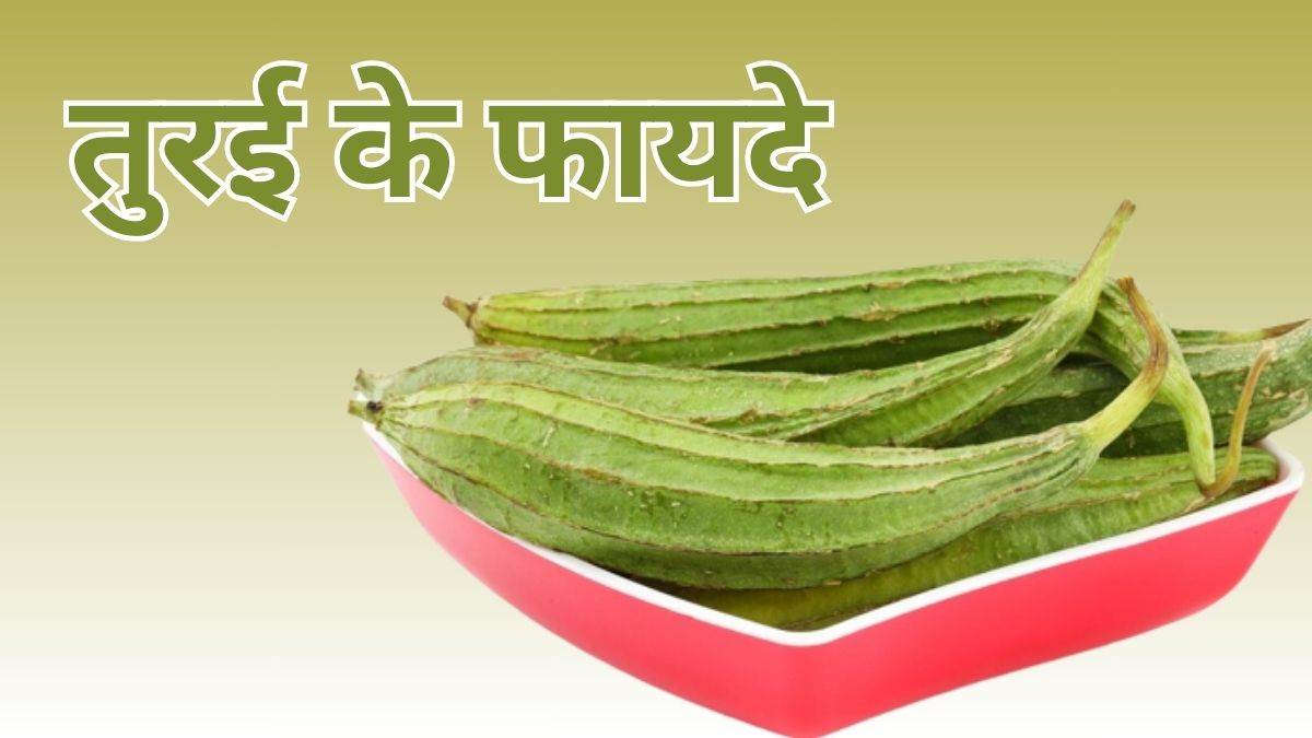 https://www.jagranimages.com/images/newimg/17092023/17_09_2023-gourd_23532696.jpg