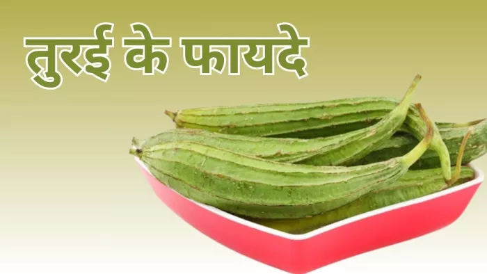 जानें तुरई से सेहत को होने वाले फायदे